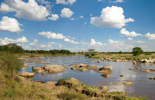 Sayari - Mara river