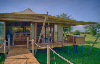 Sayari - view into the bar - the very first microbrewery in the Serengeti