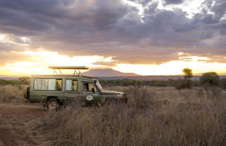 Sundowner Safari 