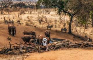 Tarangire Treetops