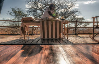 Tarangire Treetops