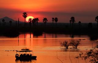 Boat Safari at sunset