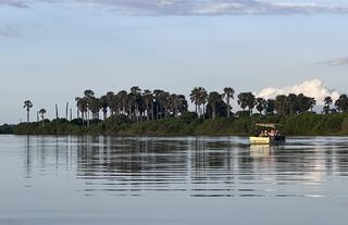 Boat Safari