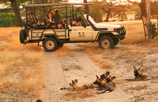 Game Drive from Selous Impala Camp