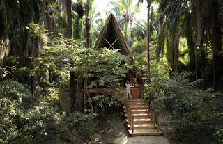 A-Frame banda set back in the forest 