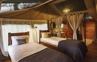 Dunia - Family Tent Twin Room