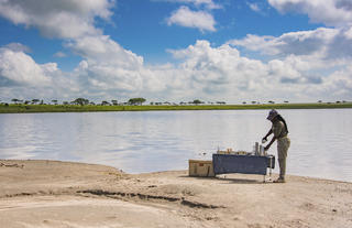 Dunia - Picnic On the Banks of the Seronera River