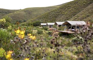 Tented Eco Camp Experience