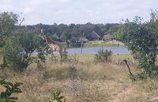 Arathusa view of waterhole