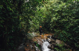 Walking TRail