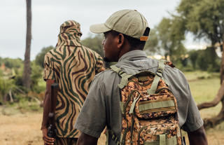 Walking Safari