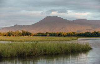 LZ Landscape