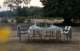 Bush Dinner Set Up