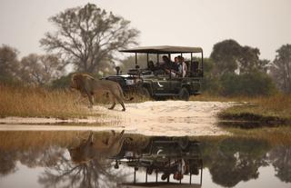 Sandibe Okavango Safari Lodge	