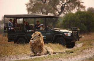 Sandibe Okavango Safari Lodge	