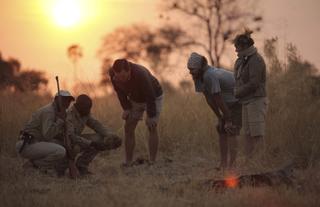 Sandibe Okavango Safari Lodge	