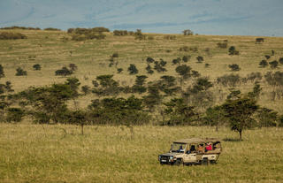Game drives on the conservancy