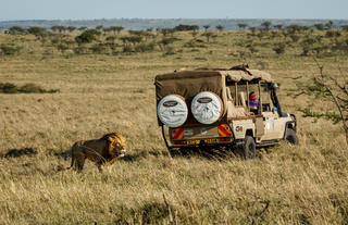 Game drives in the conservancy