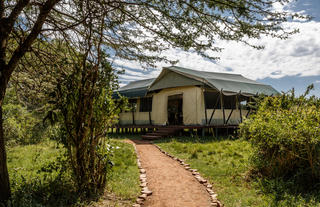 Pathway to tent