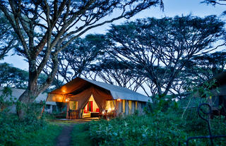 Tented Accommodation 