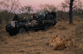 Game Drive