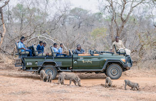 Thornybush Community Project