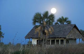 Maramboi Tented Camp - Tarangire