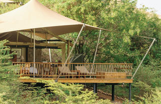 Your secluded tent suite at Mara Bushtops