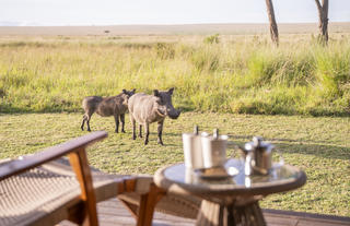 Governors' Camp Family Tent