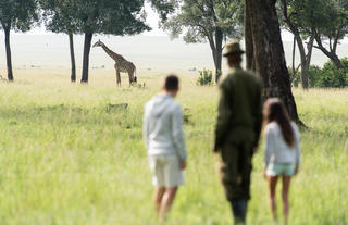Governors' Camp Family Safaris