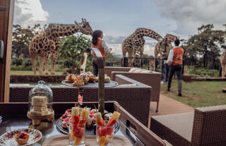 Afternoon tea at Giraffe Manor