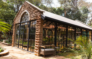 Orchid House at Giraffe Manor