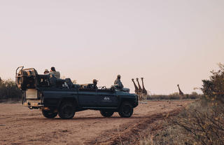 Game Drive