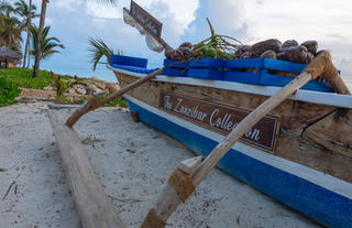 Beach Bar