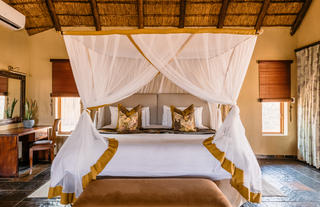 Standard Suite