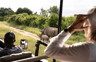 Game Drives