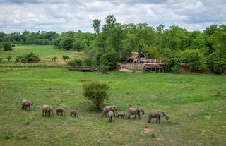 elephants in front of Zungulila Bushcamp