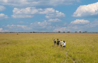 Tanzania-Grumeti-Serengeti-River-Lodge-Experiences-guided-nature-walk_2