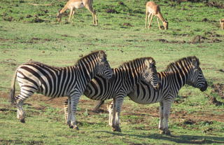 andBeyond Phinda Homestead