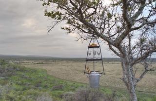 andBeyond Phinda Homestead