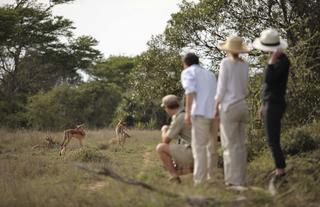 andBeyond Phinda Homestead