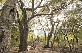 andBeyond Phinda Homestead