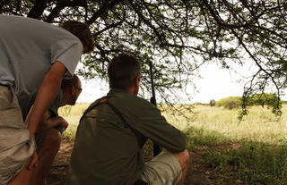 andBeyond Phinda Homestead