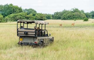 Semliki Game Drives