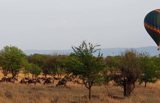 Stunning views over the camp