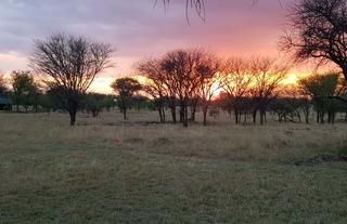 Stunning views over the camp