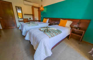 Premium Suite- Twin Bed