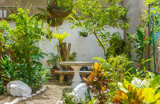 Gardens & Terraces