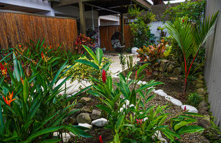 Gardens & Terraces