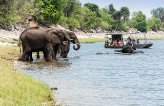 Game Viewing